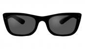 sunglasses-standard-black